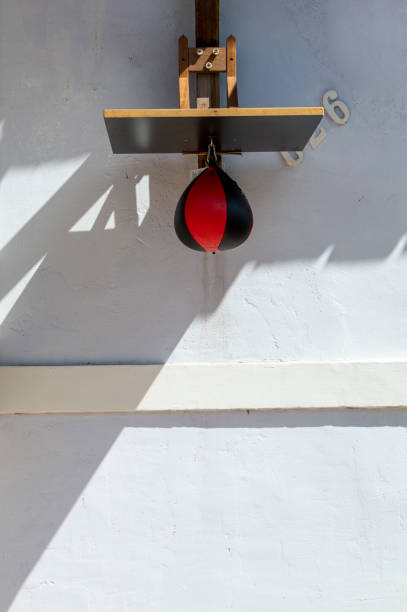 istock Boxing ball punch speed training equipment. Punching bag reflex speed bag. 1426589877