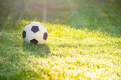 A B&W soccer ball sitting in the dewy grass as the sun flare from the sunrise laminates it.