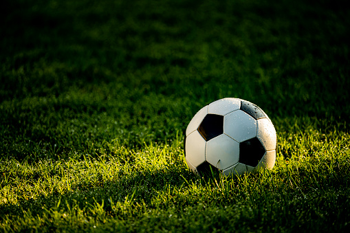 A B&W soccer ball sitting in the dewy grass as the light beam from the sunrises laminates it.