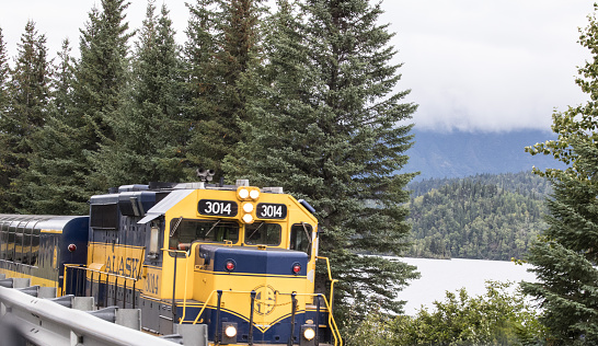 On August 25, 2022 the Alaska express train is taking visitors from points as far south as Seward Alaska to northern areas such as Denali National Park. This train is traveling to Seward