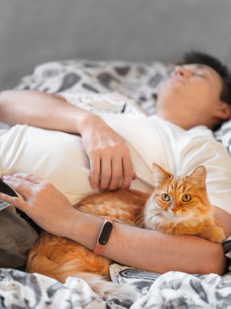 istock Cute ginger cat is lying in bed with its owner. Cat lover is sleeping. Healing power of domestic animals. Sick man with fluffy pet in bedroom. 1426601371