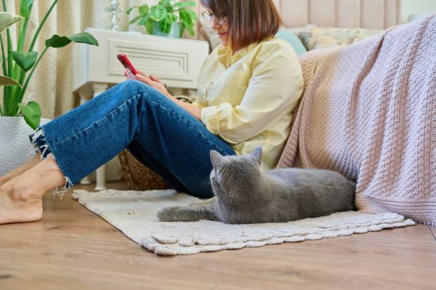 istock Female sitting on floor using smartphone, pet cat sleeping near owner 1426603130
