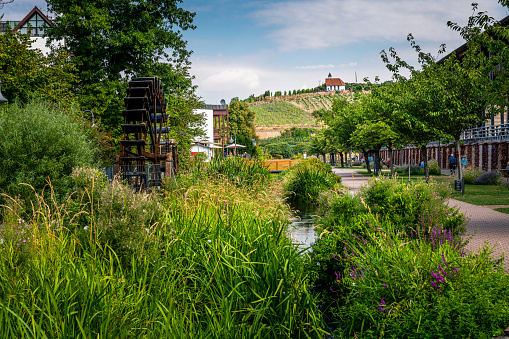 View over a part of the beautiful public park in Bad Dürkheim with a small creek between saline and a water wheel.