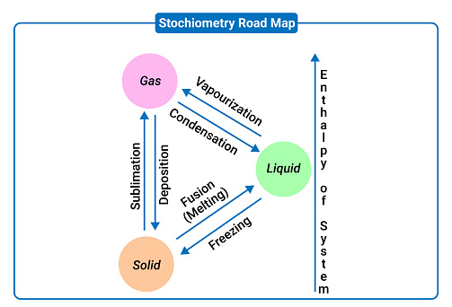 Stichiometry Graph Stochiometry 로드맵의 과정 과학에 대한 스톡 벡터 아트 및 기타 이미지 - 과학, 과학 실험, 과학자 - iStock