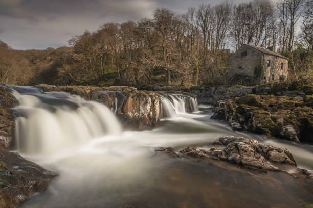 Cenarth Falls, Pembrokeshire. An autumn day, the waterfall is full. Slow shutter speed to smooth out the water Cenarth Falls, Pembrokeshire. An autumn day, the waterfall is full. Slow shutter speed to smooth out the water teifi river stock pictures, royalty-free photos & images