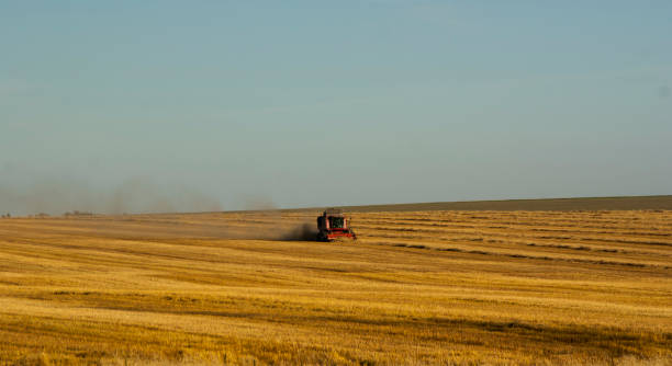 istock Agricultural harvesting operations. 1426617140
