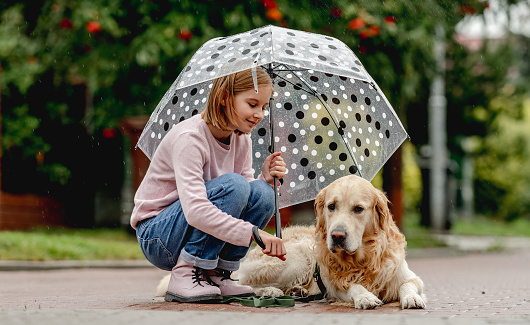 Preteen girl with golden retriever dog sitting under umbrella at street. Pretty kid child with doggy pet in rainy day