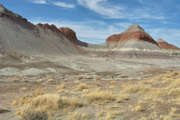 istock Desert Southwest Foothills 1426618928