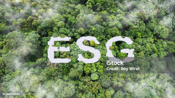Esg Cloud Icon Green Earth Concept For Environment Society And Governance Sustainable Environmental Concept Of The World High Angle View Of Natural Environment Stock Photo - Download Image Now