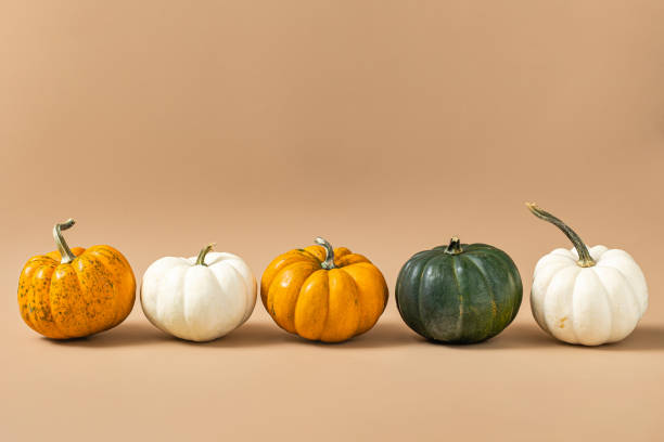 istock Autumn pumpkins on a beige brown background. 1426623154