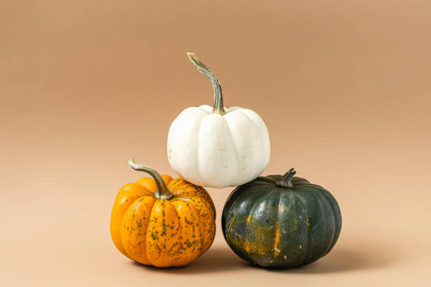istock Autumn pumpkins on a beige brown background. 1426623486