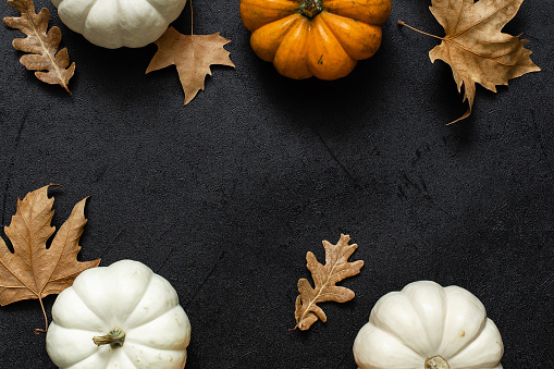 Autumn brown and gold leaves and pumpkins on a dark black background. Flat lay, top view