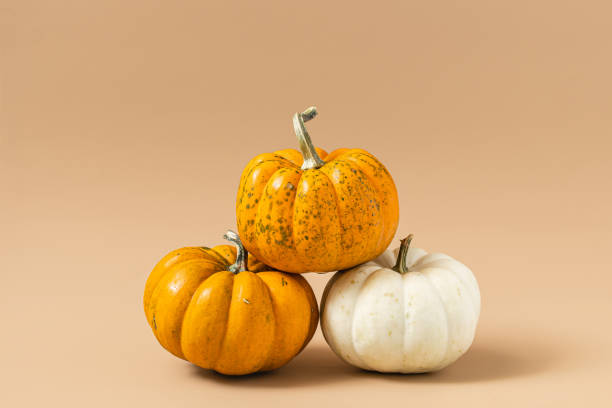 istock Autumn pumpkins on a beige brown background. 1426623769