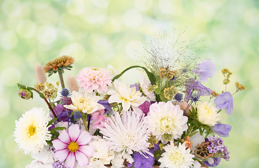 Flower arrangement