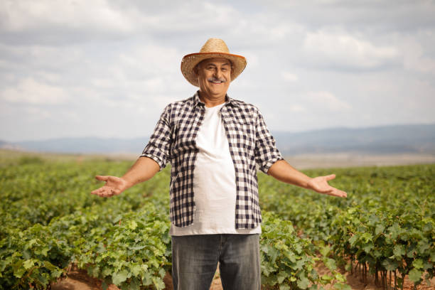 istock Mature male worker standing on a grapevine nursery and gesturing with hands 1426640545