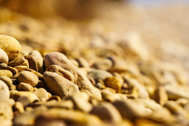 Close up wet stone pebble on beach sea shore