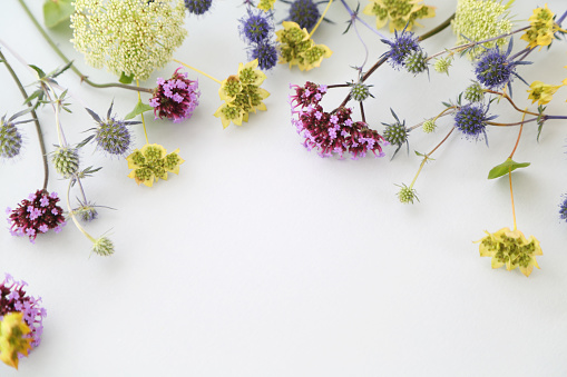 flower arrangement