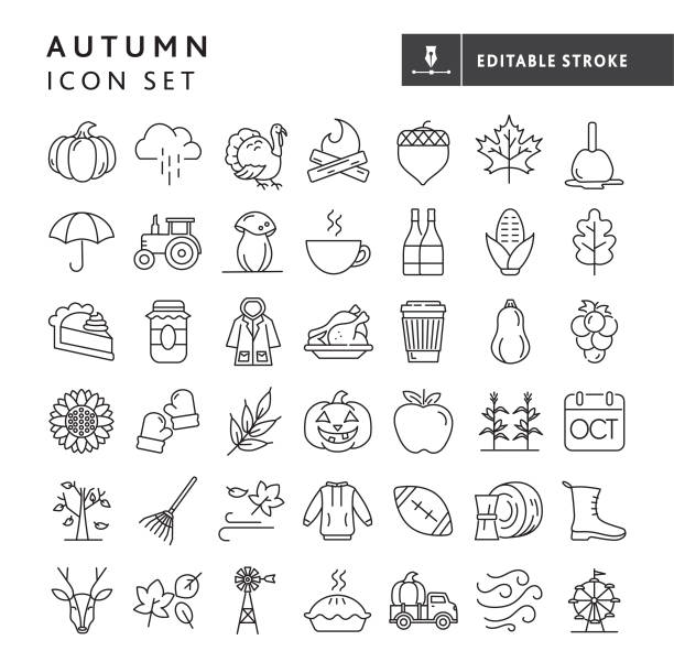 가을, 추수 감사절, 가을, 수확 시즌 아이콘 세트 - 편집 가능한 스트로크 - white backgrounds thanksgiving pumpkin stock illustrations