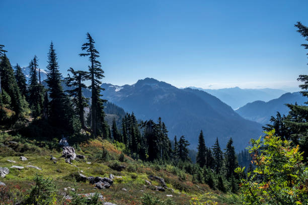 istock Mt Baker at Washington State of USA 1426647702