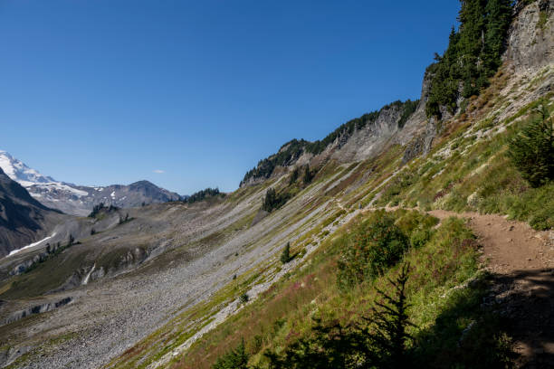 istock Mt Baker at Washington State of USA 1426647705