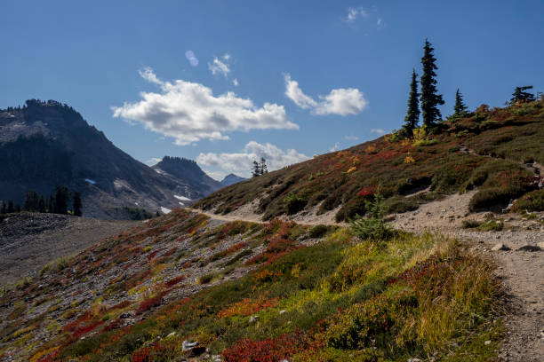 istock Mt Baker at Washington State of USA 1426647811