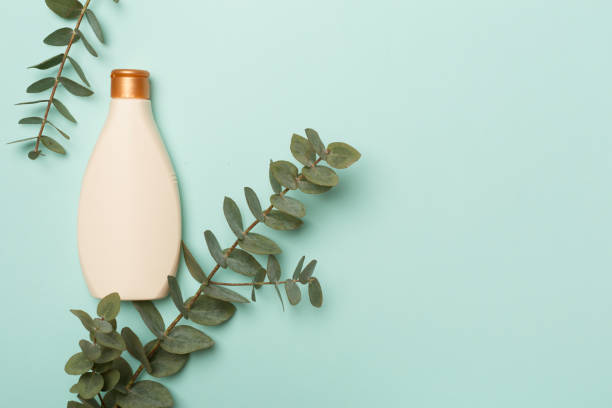 istock Cosmetic bottle with eucalyptus branch on color background, top view 1426648398
