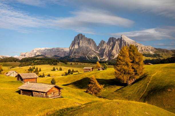 istock Seiser Alm - Alpe di Siusi in autumn 1426649039