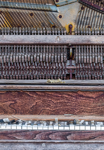 Key and strings of an abandoned piano