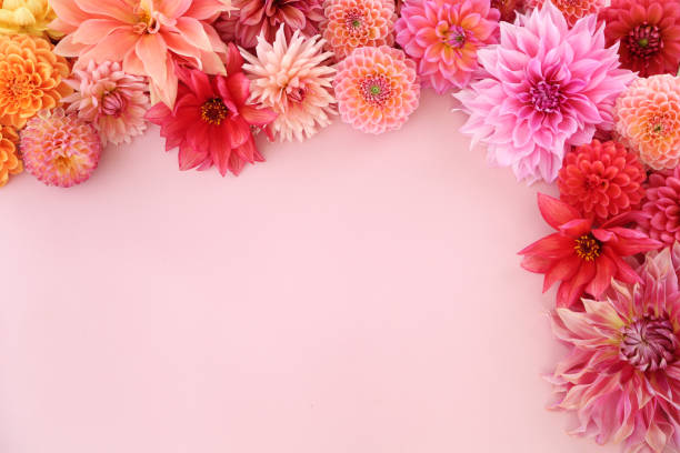 istock flower arrangement 1426650275