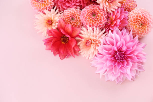 istock flower arrangement 1426650860