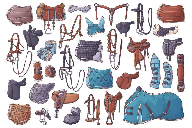 ilustrações de stock, clip art, desenhos animados e ícones de hand drawn equestrian equipment collection vector. horse ammunition. - saddle blanket