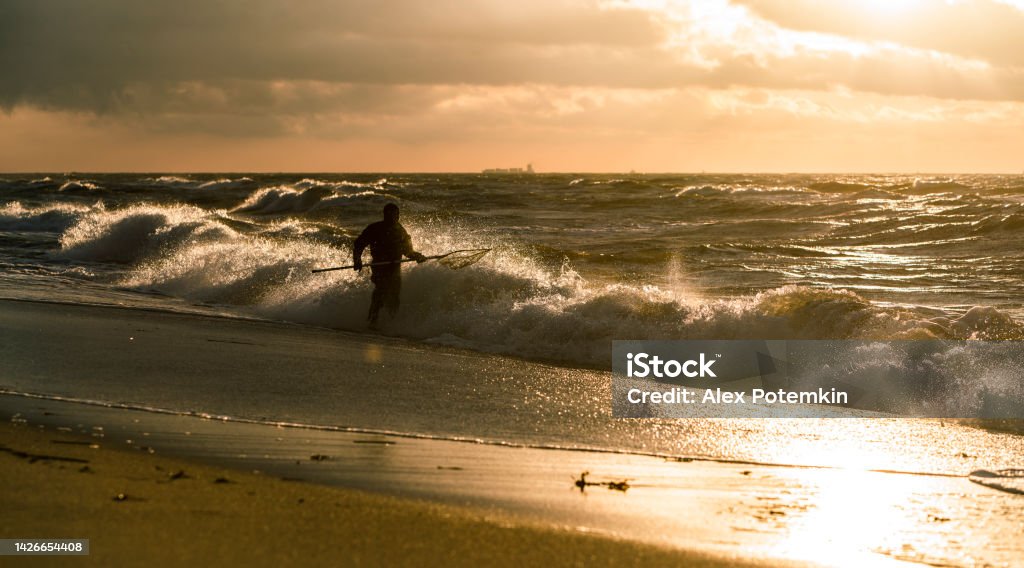 Man wearing a diving suit catching amber in the surf of the Baltic sea at sunset. Man in a diving suit, catching amber in the waves of the Baltic sea at sunset. Kaliningrad region, Russia (former Konigsberg, Eastern Prussia, Germany). Amber Stock Photo