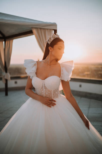 istock Beautiful bride posing in white princess dress with crown. 1426655103