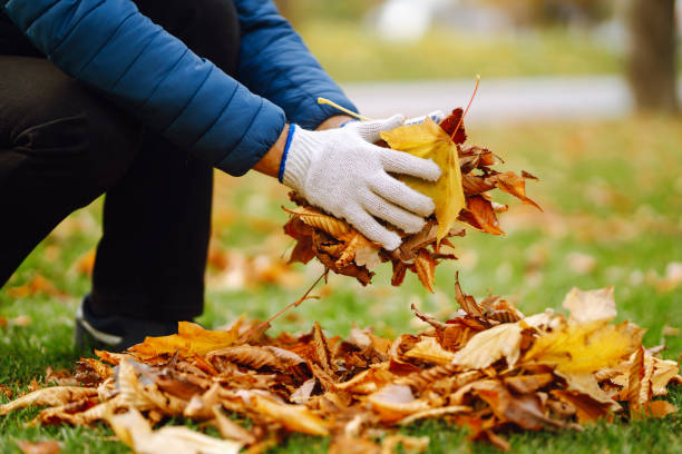 istock Man cleans the autumn park from yellow leaves. 1426668611