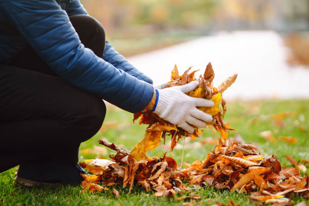 istock Man cleans the autumn park from yellow leaves. 1426668622
