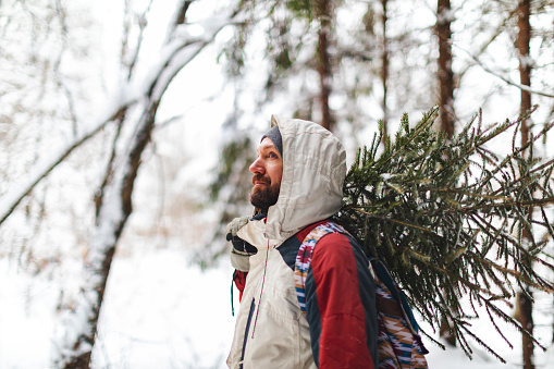 Young adult man taking fir tree for Christmas from forest