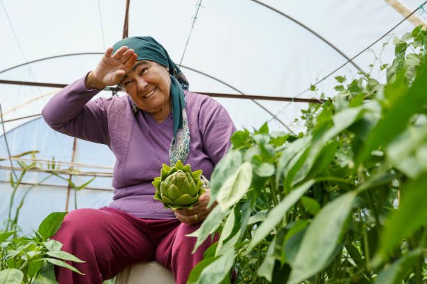 Farmer female working in greenhouse, Mugla Turkey stock photo