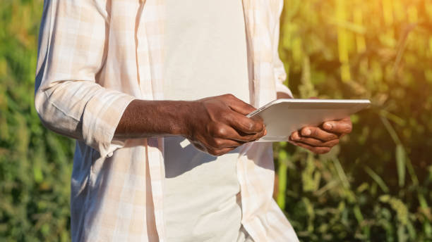 istock African American agronomist searches data on corn via tablet 1426672185