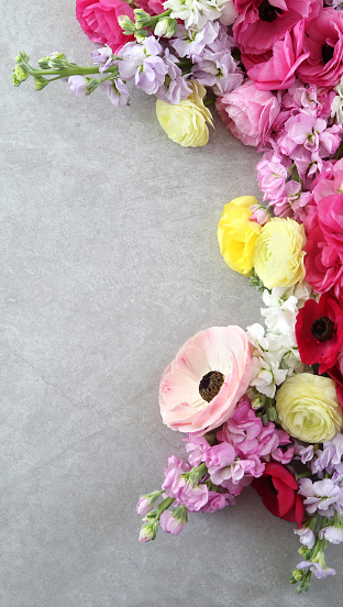 Beautiful blossoming coral peonies, matthiola,roses and eucalyptus making a frame on the white background, top view, flat lay