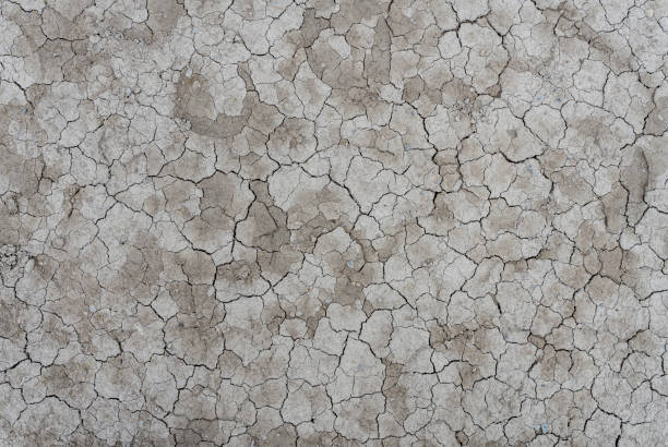 istock Grey, dried out, torn up soil, soil erosion, global warming 1426676552