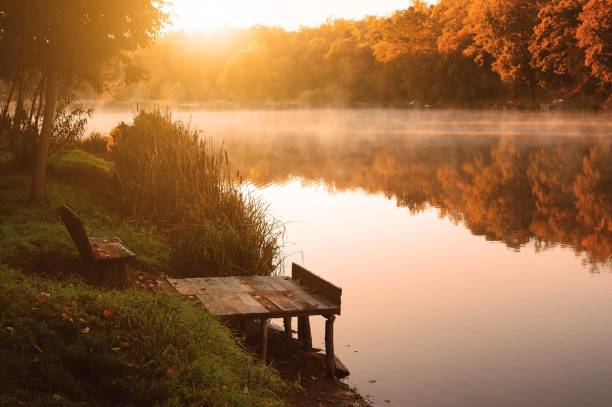 istock Autumn fall the best and the highest quality image 1426676584