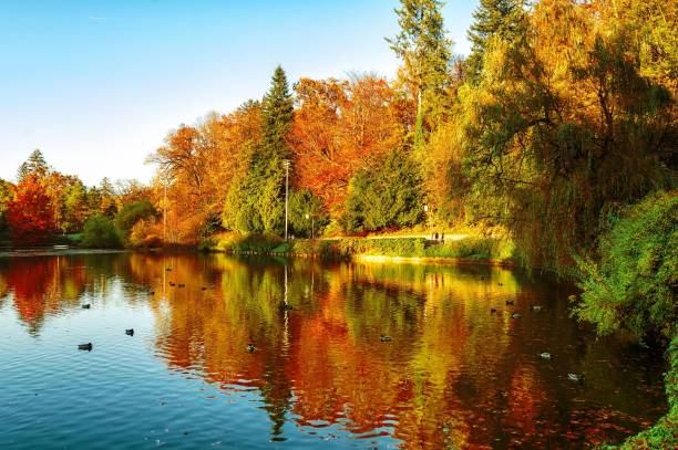 istock Autumn fall the best and the highest quality image 1426676595