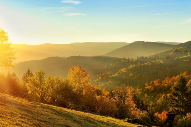 istock Autumn fall the best and the highest quality image 1426676630