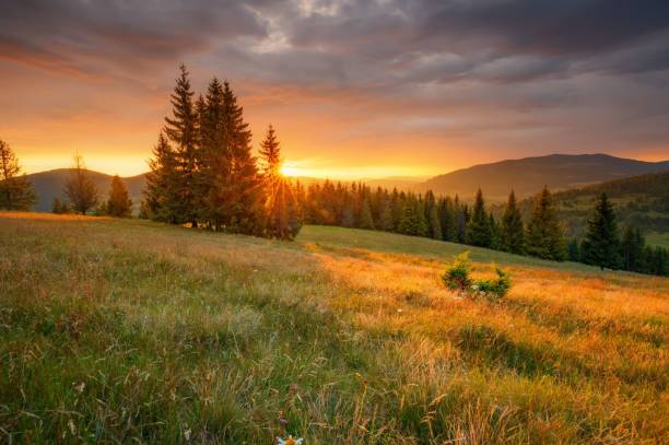 istock Autumn fall the best and the highest quality image 1426676701