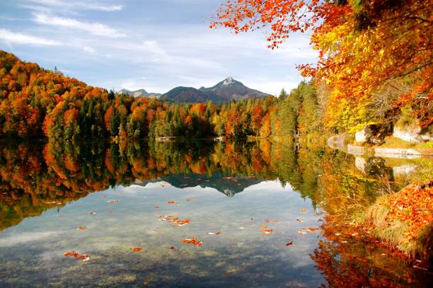 istock Autumn fall the best and the highest quality image 1426676741