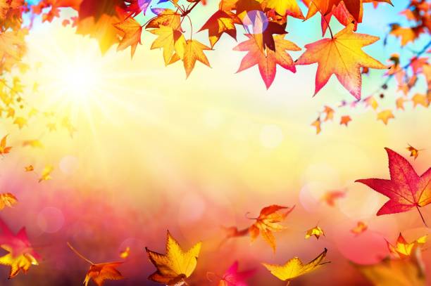 istock Autumn fall the best and the highest quality image 1426676779