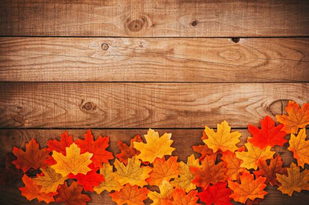 istock Autumn fall the best and the highest quality image 1426677215