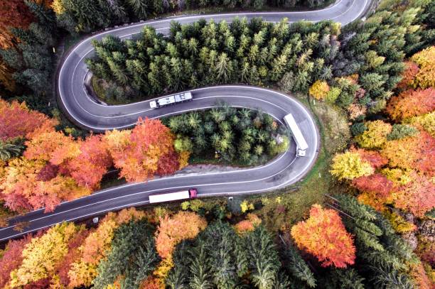 istock Autumn fall the best and the highest quality image 1426677285
