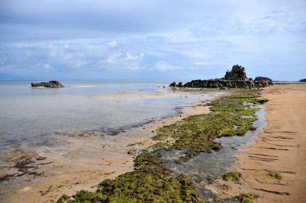 Dili Municipality, East Timor / Timor Leste: Hera Beach, aka Pasir Putih beach, named in Bahasa Indonesia for its white sand. Sea weed and costal rock outcrops during low tide - Banda Sea