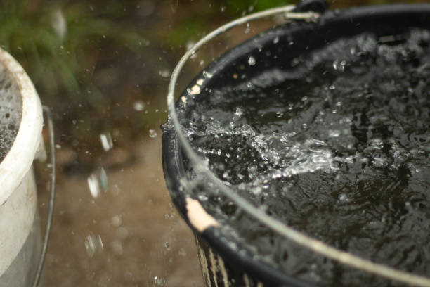istock Rain is dripping into bucket. Water splashes in bucket. 1426689049